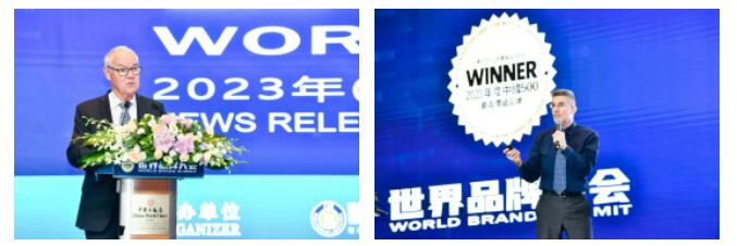 权威认证 利亚德入选中国500最具价值品牌