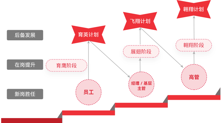 利亚德 "雄鹰计划"人才梯队培养